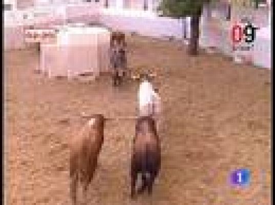 San Fermín - Tercer encierro. Prueba conseguida