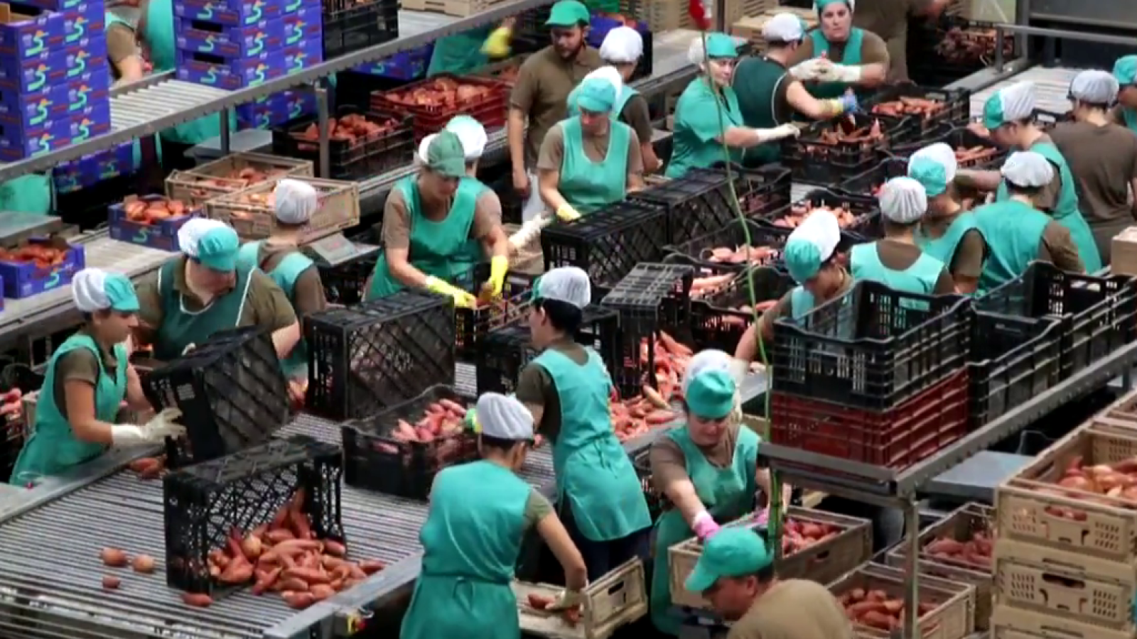 Fábrica de ideas: Imita: Frusana | RTVE Play