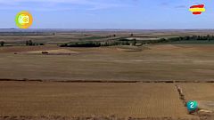 Turismo rural, Becerril de Campos