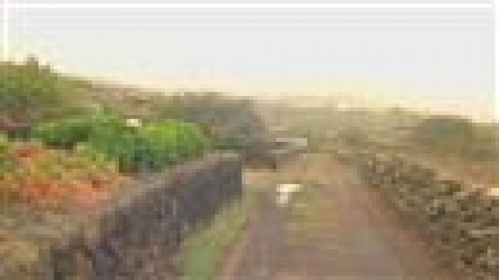 El tiempo en Canarias - 14/10/2019