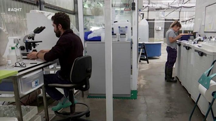 Aquí hay trabajo - Aquí hay trabajo - 16/10/19