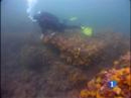  - Protección de  fondos marinos