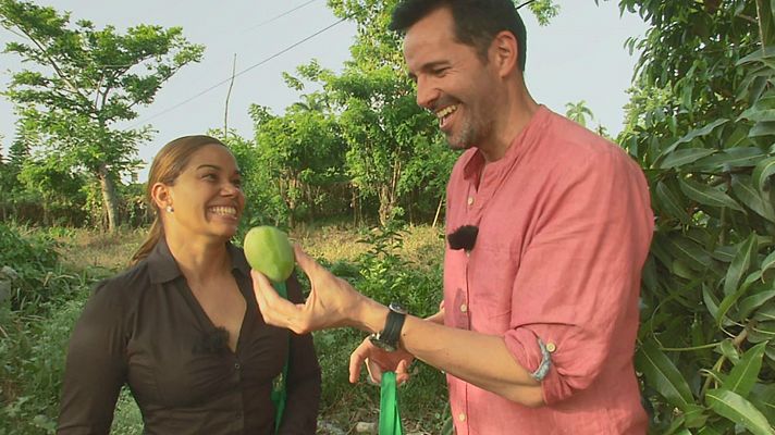 María Marte y el mango, ingrediente de temporada 