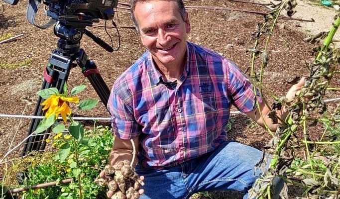 Aquí la Tierra - ¿Qué es el tupinambo?