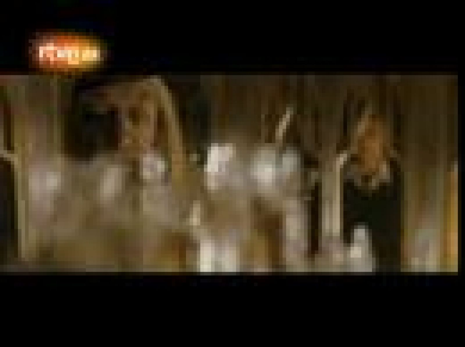 Harry Potter Clip 2: Me gustaría que vieras esto | Ver