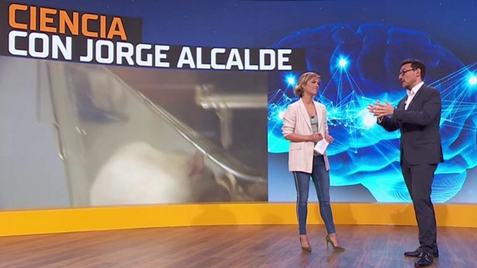 La Mañana - 17/10/19 - RTVE.es