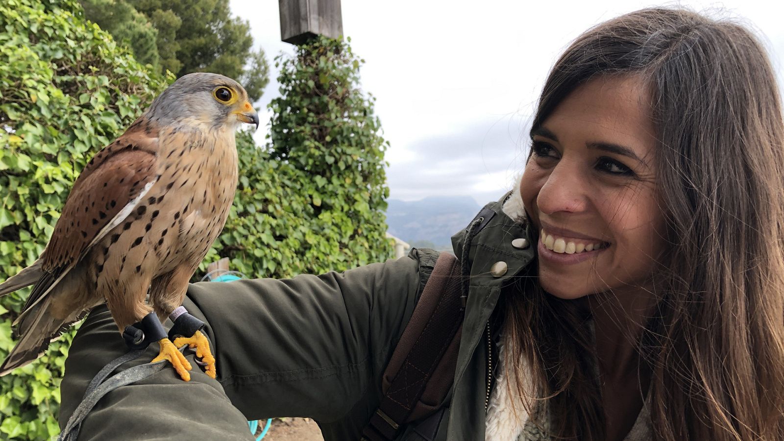 ¡Qué animal! - Superpoderes