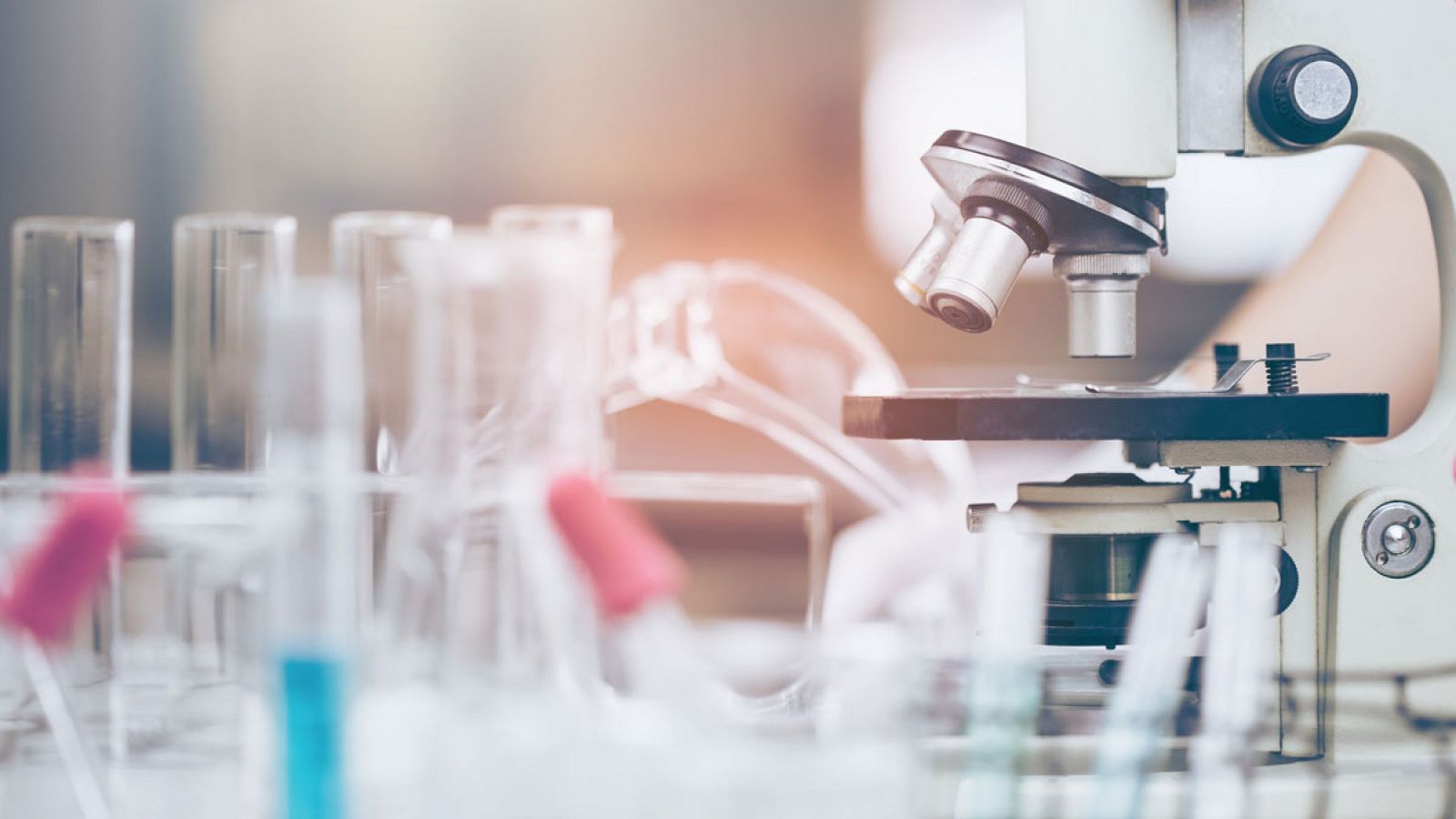 Una nueva terapia a partir de células madre permite tratar enfermedades inflamatorias intestinales. La han desarrollado investigadores de varios hospitales y de la Universidad Autónoma de Madrid. TVE ha visitado el laboratorio donde ya se fabrica est