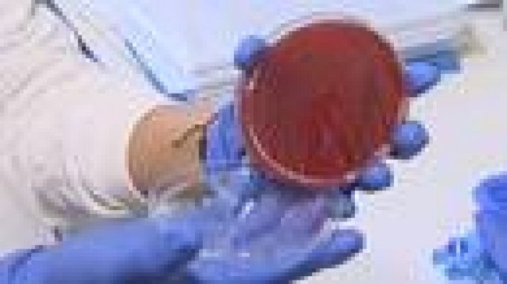 Noticias Andalucía - Noticias Andalucía  - 17/10/2019