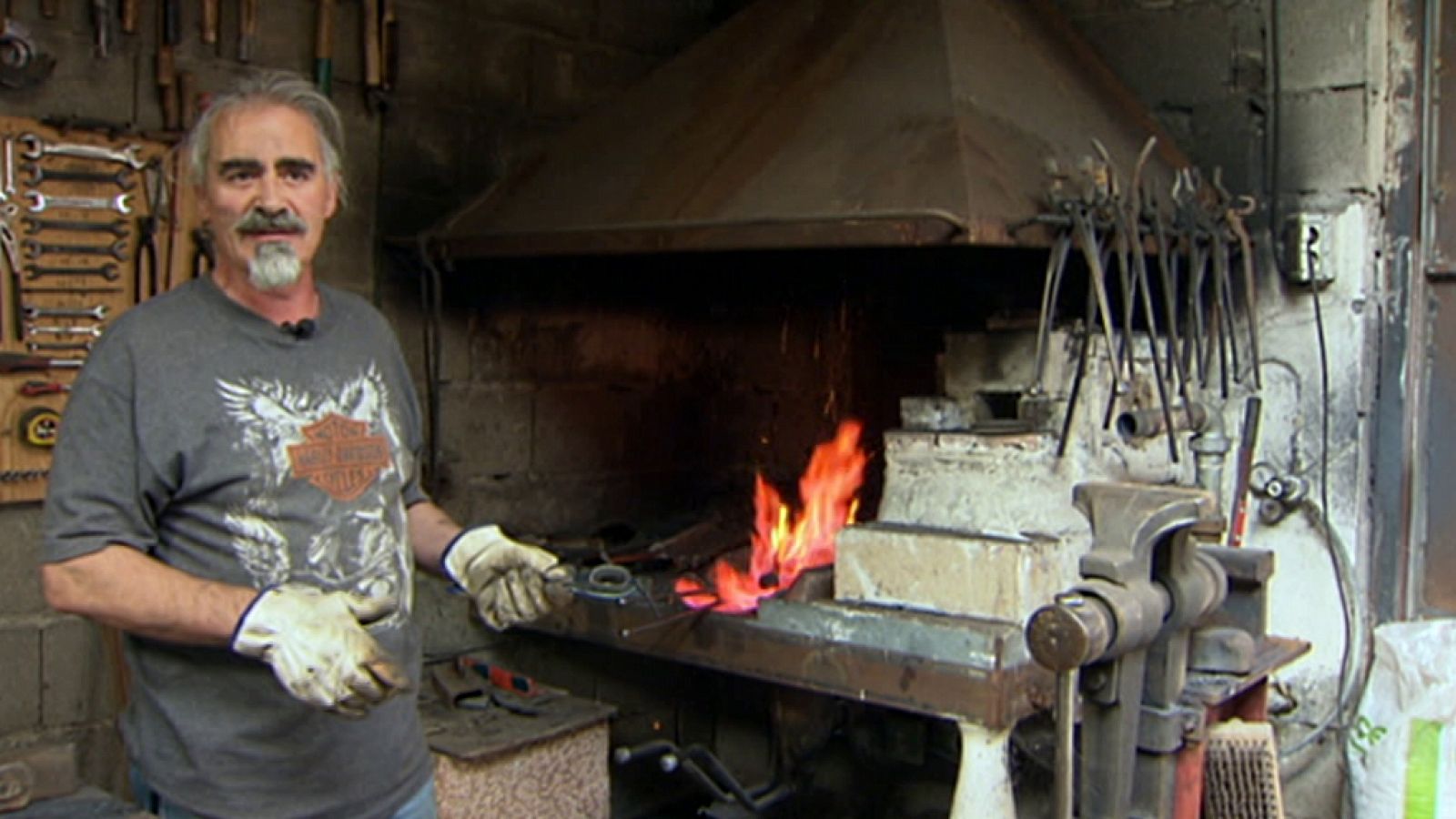 Agrosfera - 19/10/19 - ver ahora