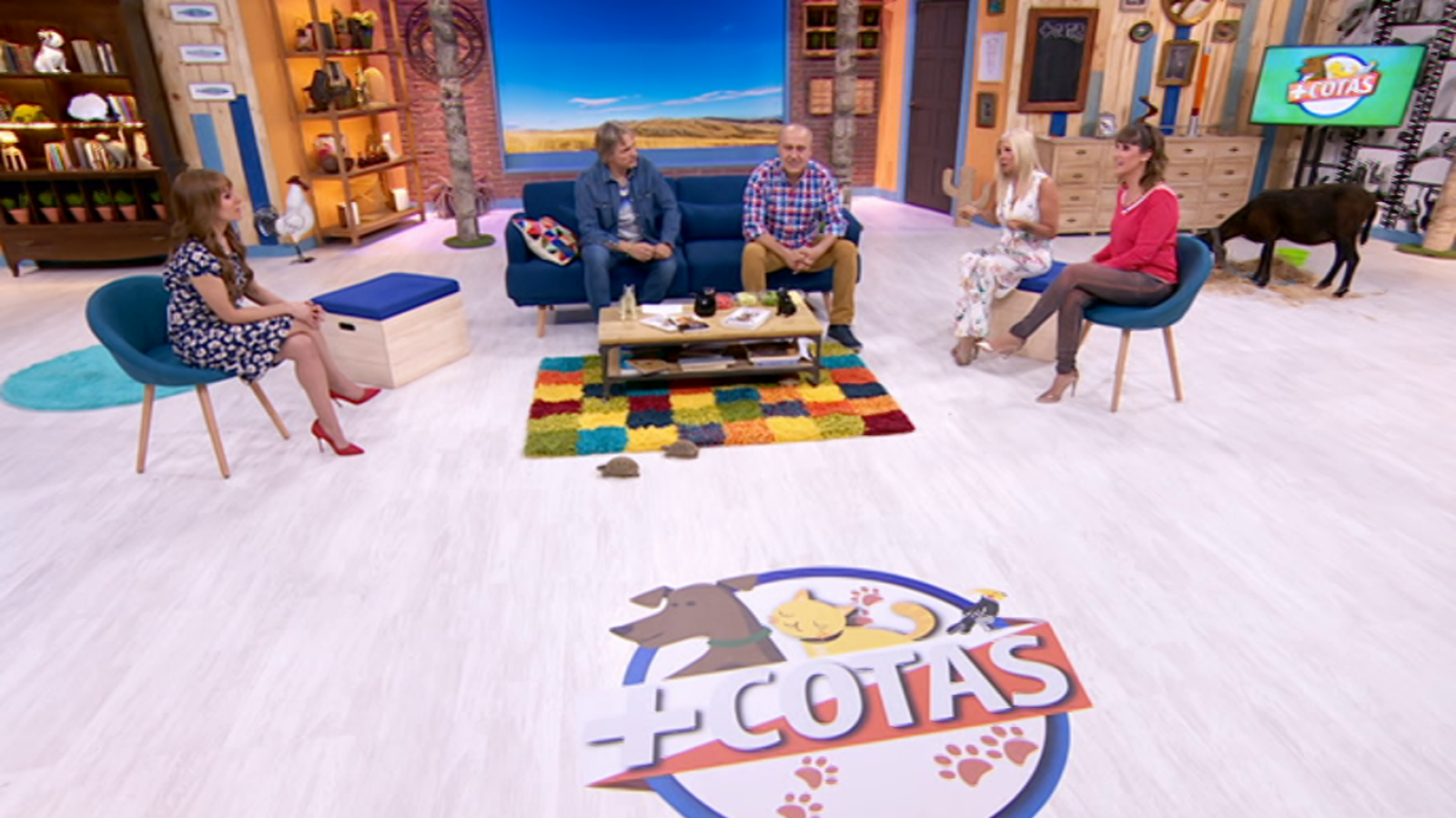 +Cotas - Programa 16 - ver ahora