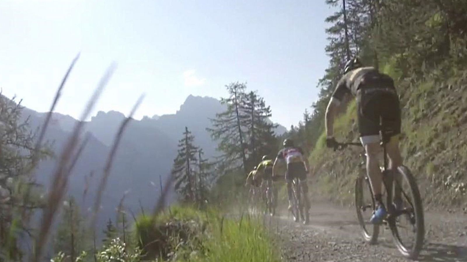 Va de bikes - 2019 - Programa 11 - ver ahora