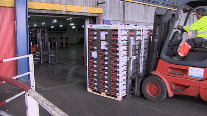 Telecanarias - Telecanarias - 19/10/2019