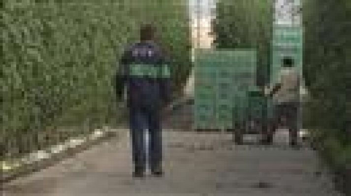 Telecanarias - Canarias en 2' - 19/10/2019