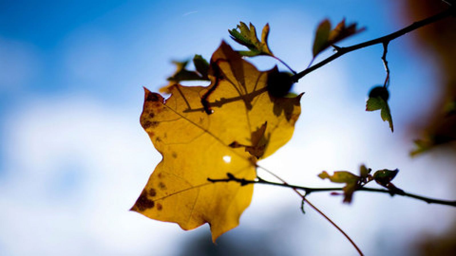 Las  temperaturas descenderán en la mayor parte del país - RTVE.es