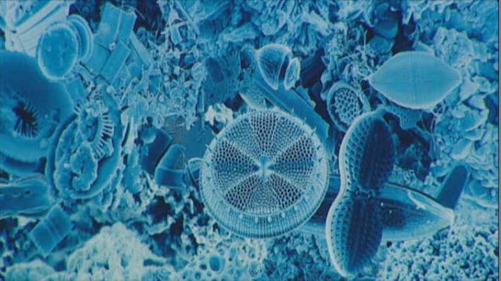 Lab24 - Genética de la historia y Revolución cuántica