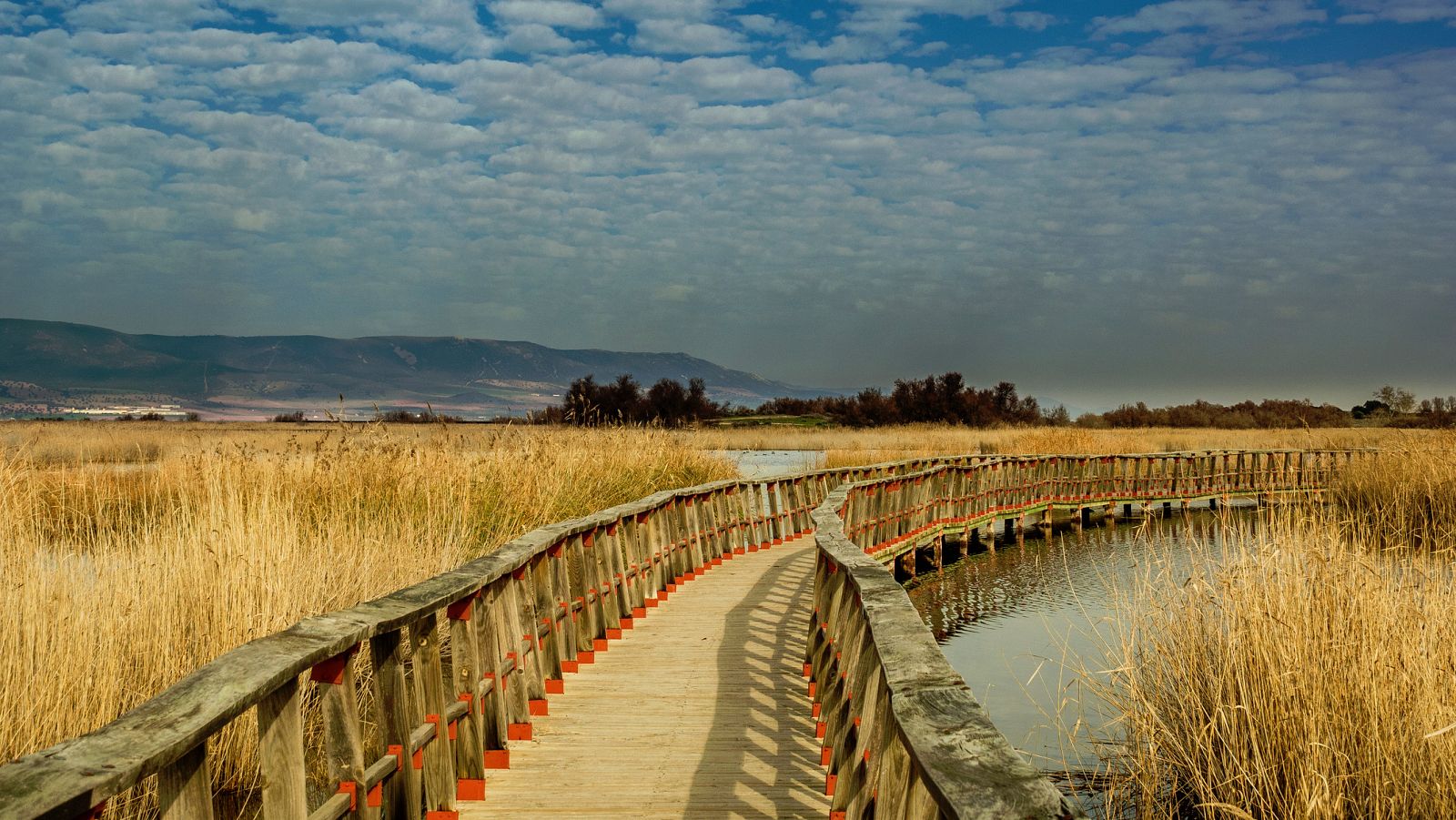 Mientras la zona del Mediterráneo está en alerta por lluvias, el Parque Nacional de las Tablas de Daimiel se encuentra en una situación crítica, con solo el 5% de su superficie encharcada. La sequía, la explotación agrícola y los pozos ilegales han p