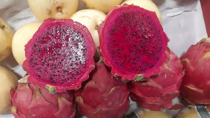 España Directo - Conoce Fruit Attraction 2019