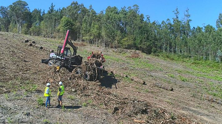Aquí la Tierra - ¿Qué es la biomasa?