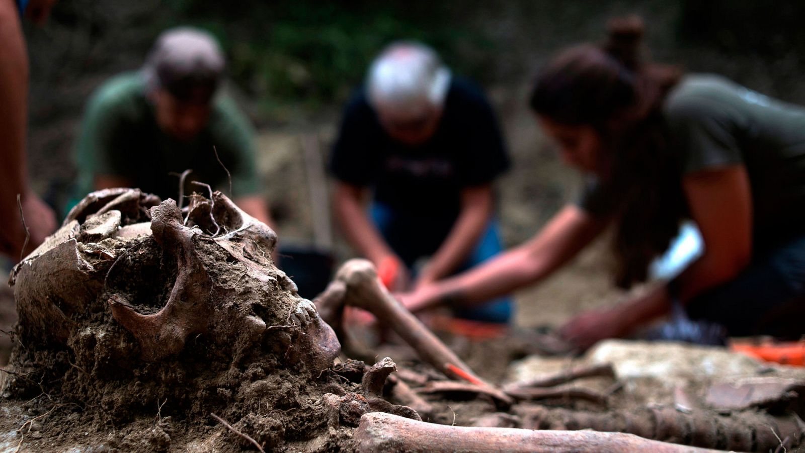 Exhumación Franco: Emilio Silva (Recuperación de la Memoria Histórica): "La exhumación puede ayudar a las víctimas a levantar la cabeza"