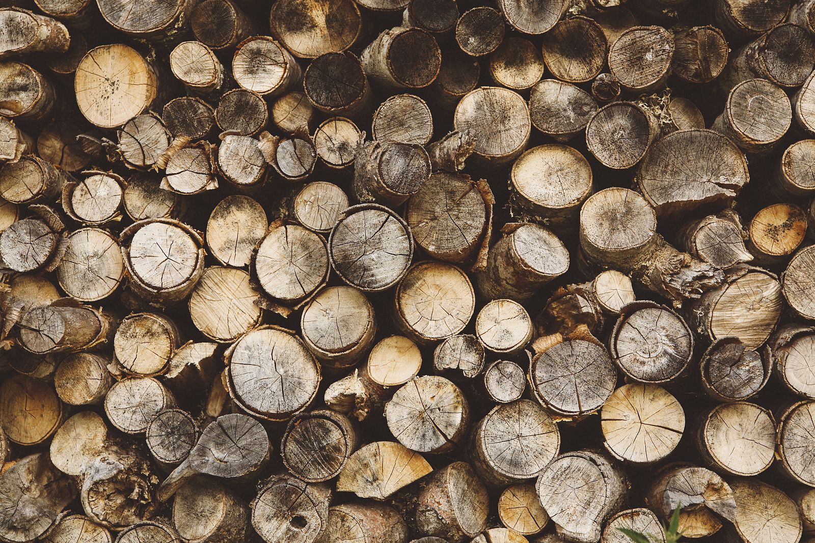 Leña para el otoño - España Directo | Ver