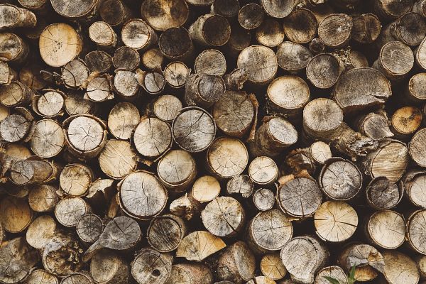 España Directo - Leña para el otoño