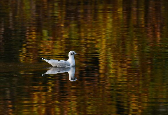 Informativo de Madrid - El Tiempo en la Comunidad de Madrid - 25/10/19