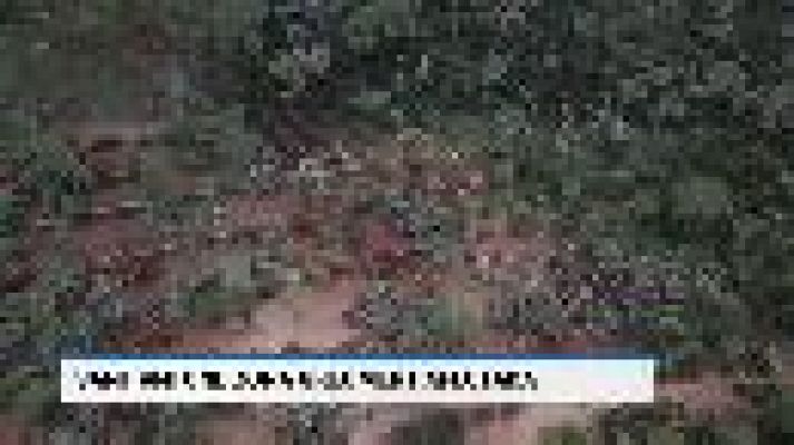 Informatiu Balear - Informatiu Balear 2 - 25/10/19