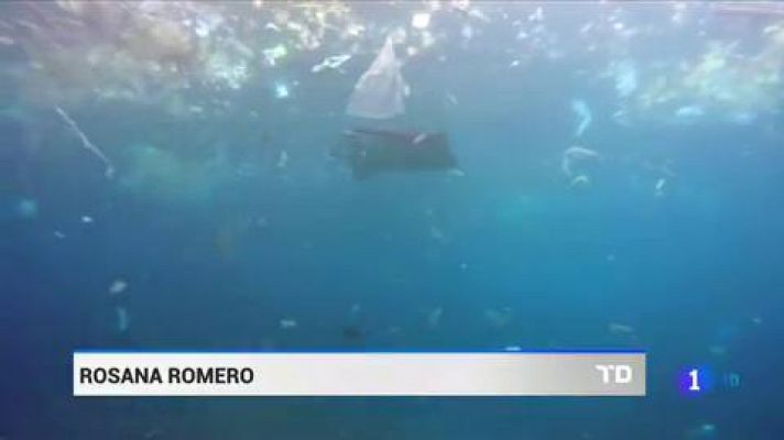 'No plastics team', el surf español con la conservación marina