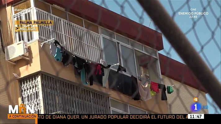 La mañana - En las entrañas de La Palmilla