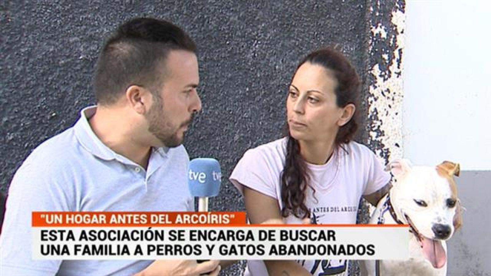 Cerca de ti - 28/10/2019