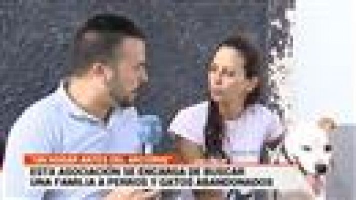 Cerca de ti - Cerca de ti - 28/10/2019