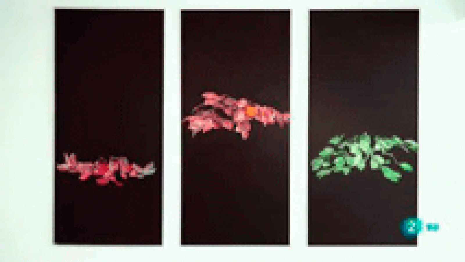 LABoral y la Colección Los Bragales La aventura del saber La Sala de Arte Joven XXIX edición 'Muestra de Artes Plásticas del Principado de Asturias