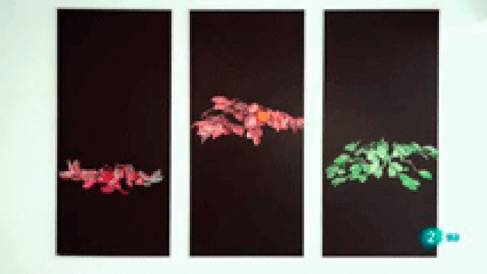 La aventura del Saber - 29 Muestra de Artes Plásticas, Asturias