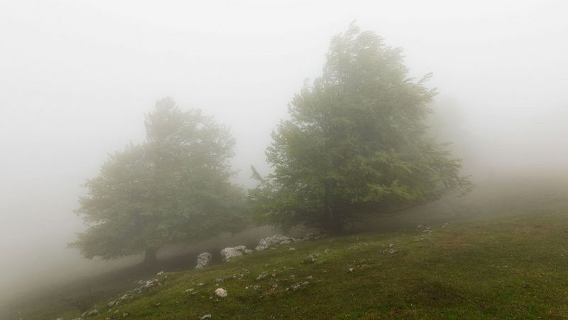 Nieblas matinales en la meseta y vientos del suroeste en Galicia  - ver ahora 