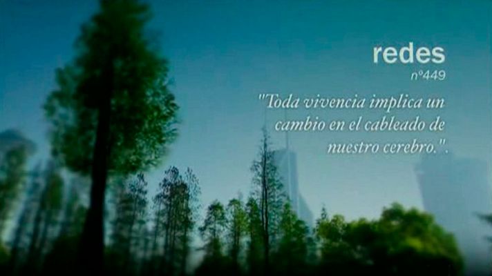 Redes - Manipular el cerebro