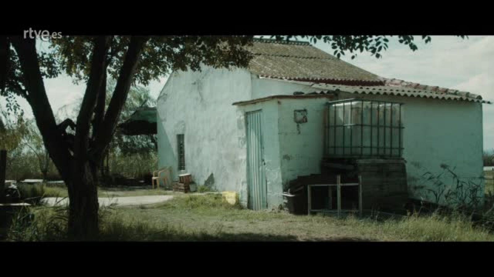 RTVE.es estrena el tráiler de 'El silencio del pantano'