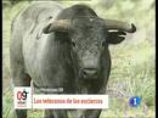 San Fermín - Los miura, una ganadería legendaria