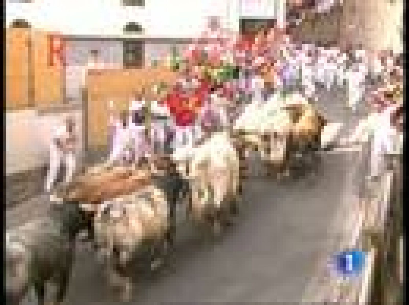 San Fermín 2023: VI encierro.Cuesta de Santo Domingo | RTVE Play