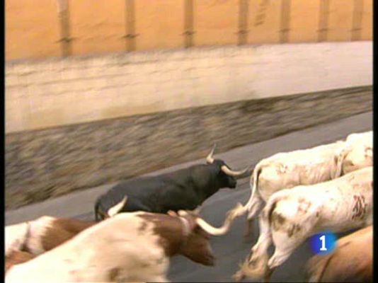 San Fermín - VI encierro.Cuesta de Santo Domingo