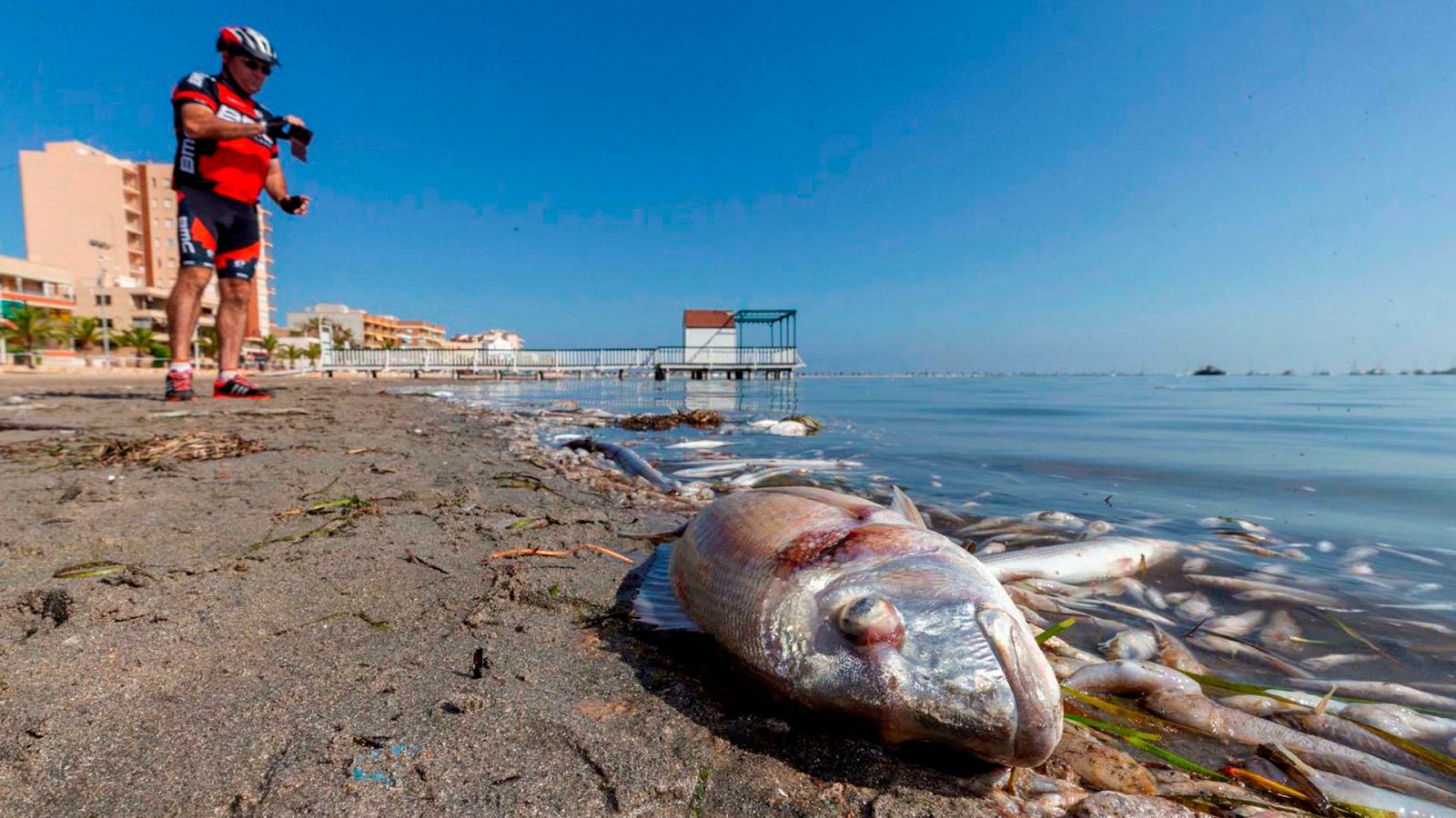 Mar Menor, en peligro por la contaminación procedente de la agricultura
