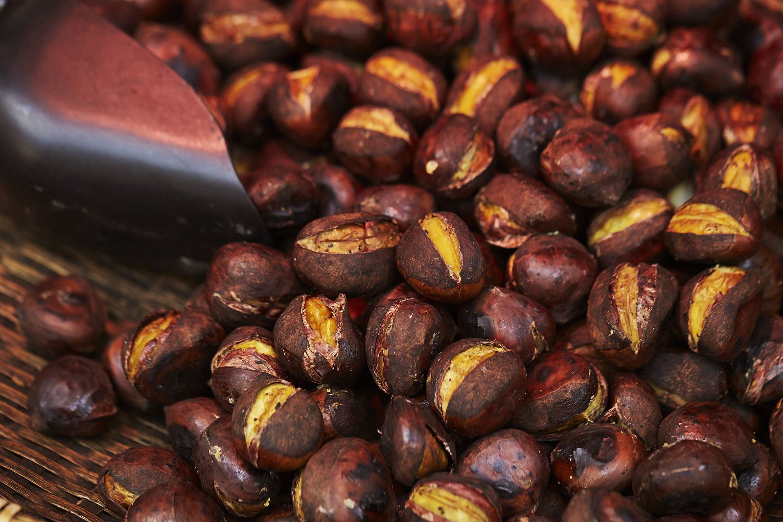 La Magosta llega a Cantabria con el otoño - España Directo | Ver