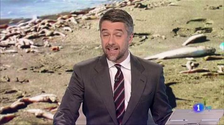  - 55.000 personas se manifiestan para salvar el Mar Menor