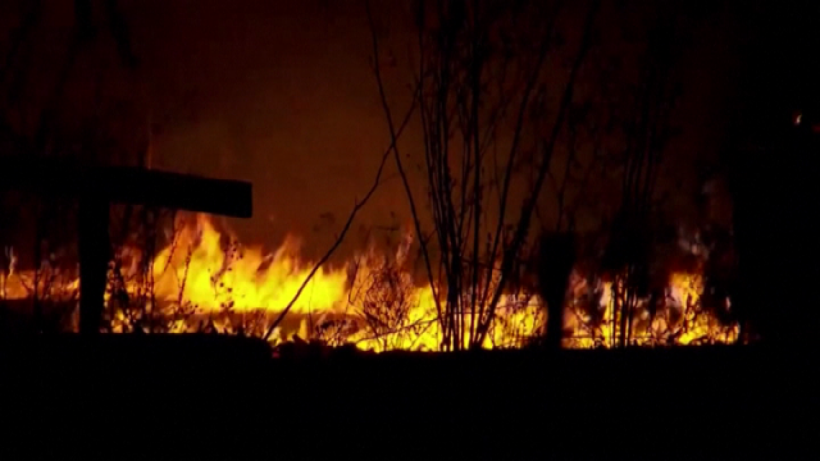 Teleplaneta - 28/10/2019