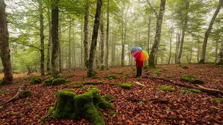 Intervalos de viento fuerte en Canarias, precipitaciones en Guipúzcoa y Navarra