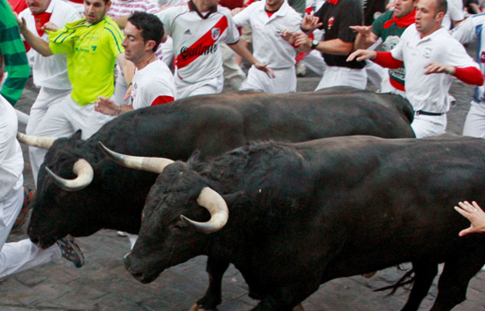 Séptimo encierro. San Fermín 2009 | Ver