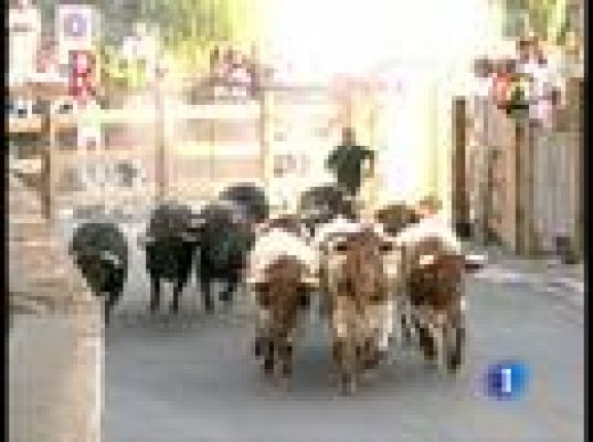 Séptimo encierro. San Fermín 2009