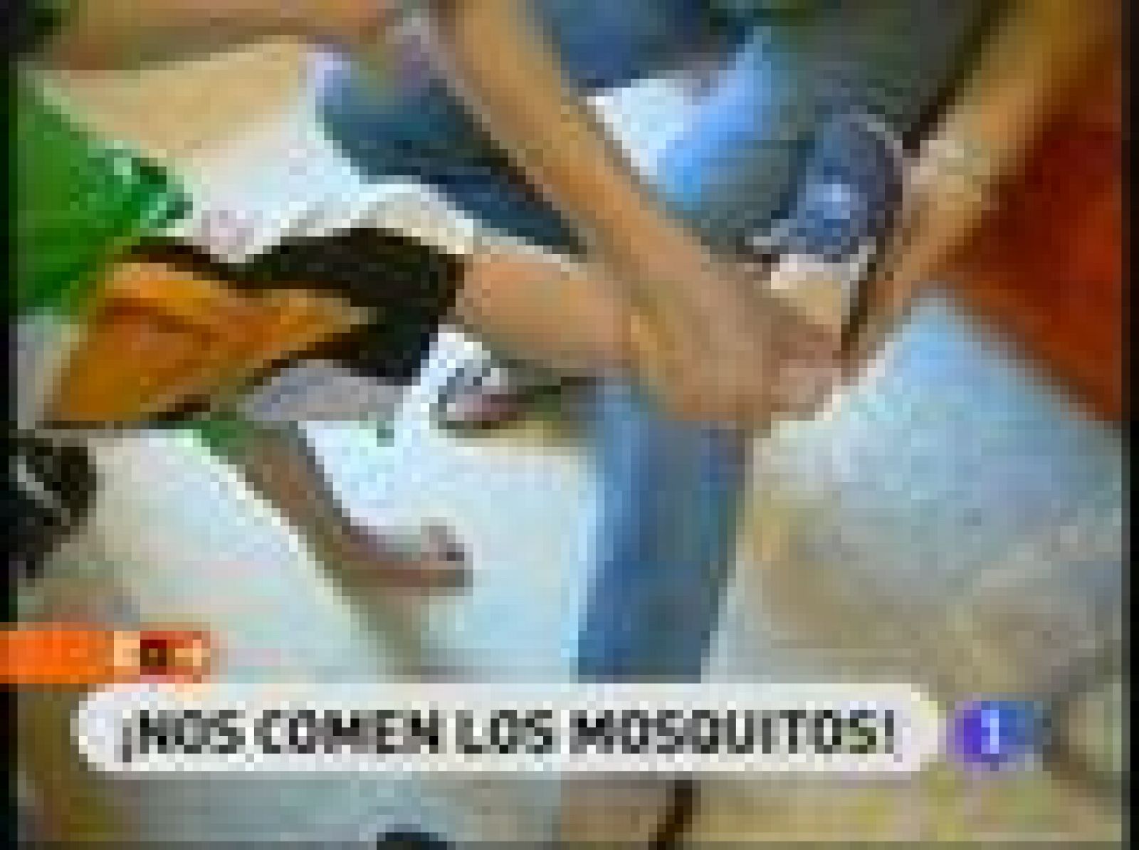 España Directo: Los mosquitos atacan de nuevo | RTVE Play