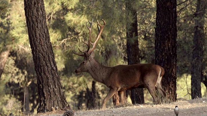 Jara y sedal - Empezamos la temporada