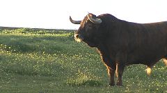 Tendido Cero - 02/11/19